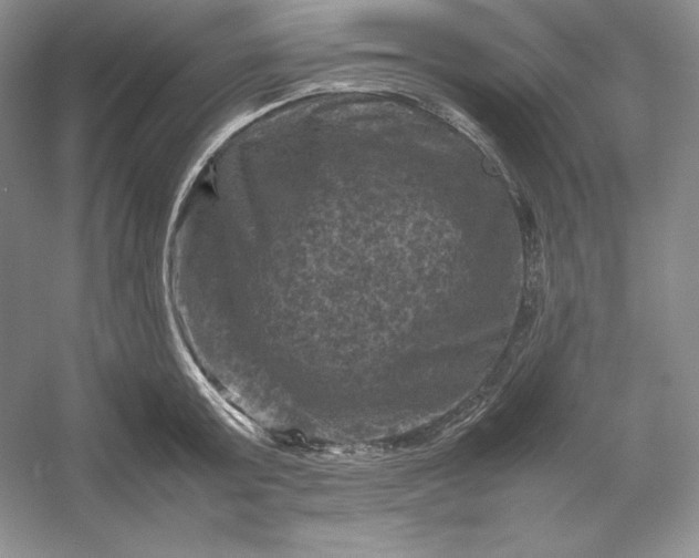 X0000053130803200507251748