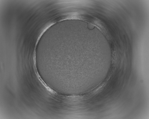 X0000053130804200507251748