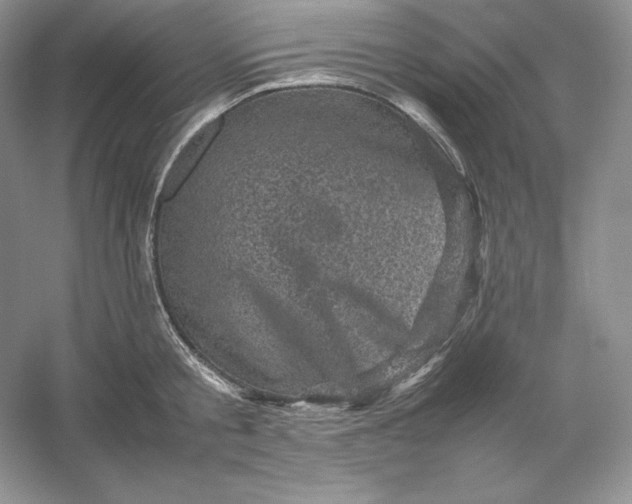 X0000053130805200507251748