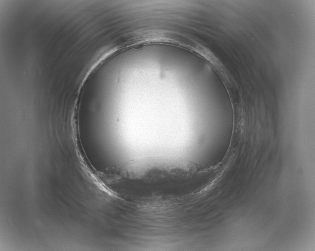 X0000053130806200507251748