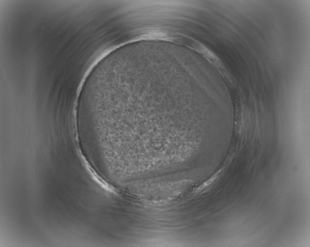 X0000053130808200507251748