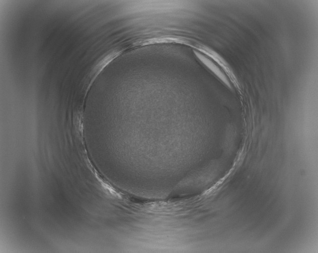 X0000053130809200507251748