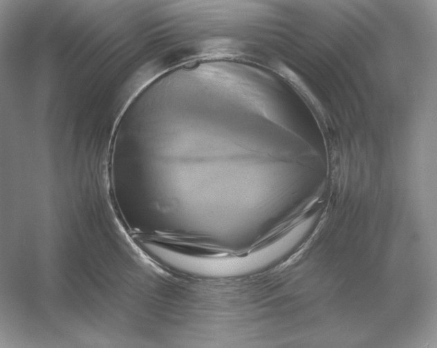 X0000053130810200507251748