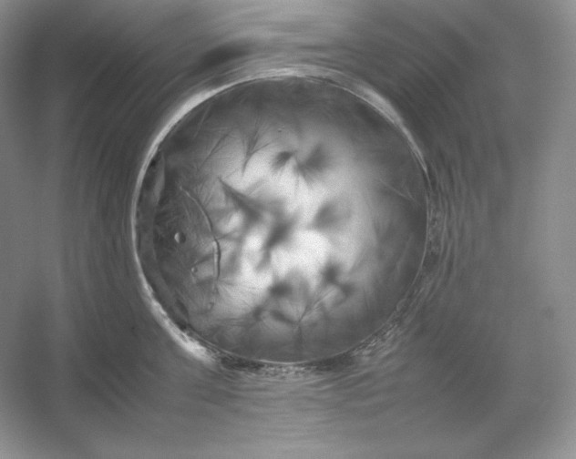 X0000053130811200507251748