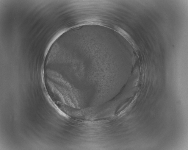 X0000053130812200507251748
