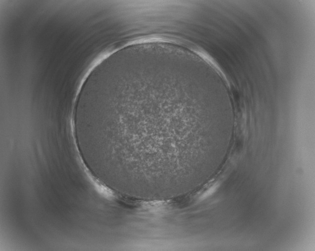 X0000053130813200507251748