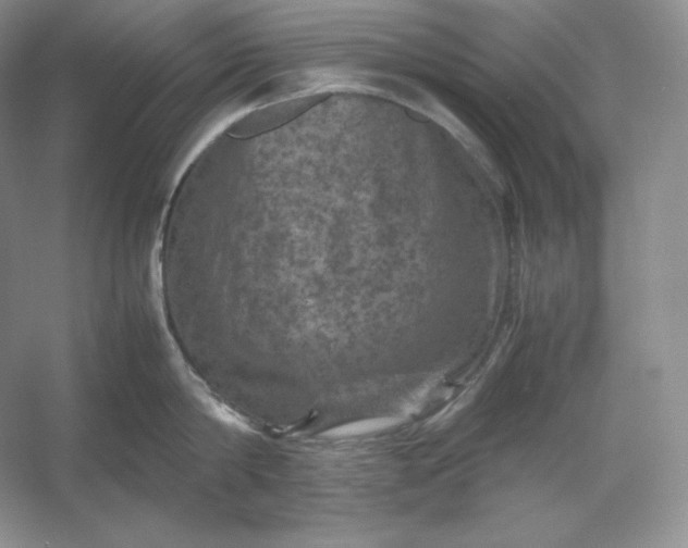 X0000053130814200507251748