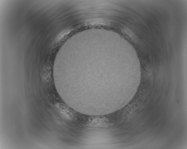 X0000053130824200507251747