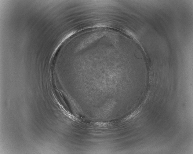 X0000053130827200507251747