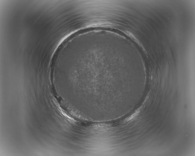 X0000053130830200507251747