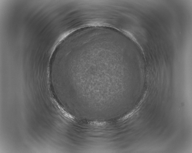 X0000053130831200507251747