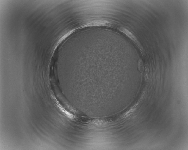 X0000053130834200507251747