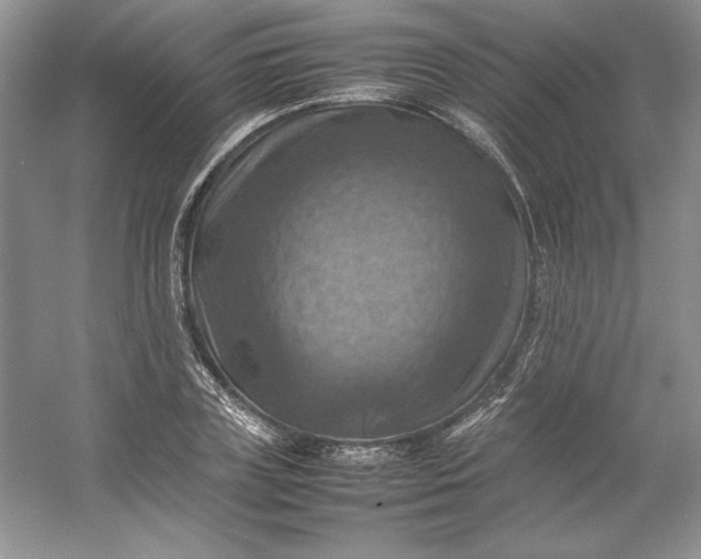 X0000053130835200507251747