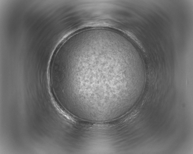 X0000053130840200507251747