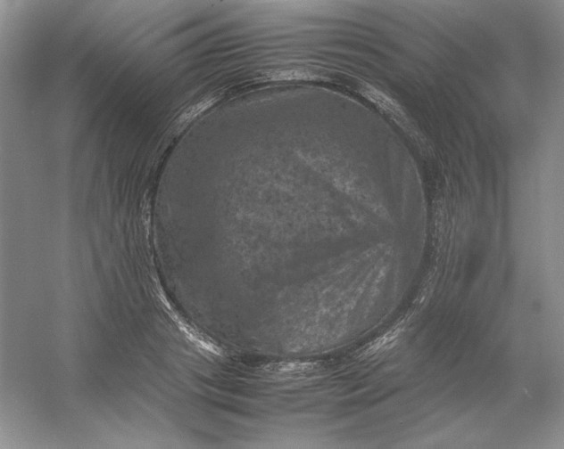 X0000053130841200507251747
