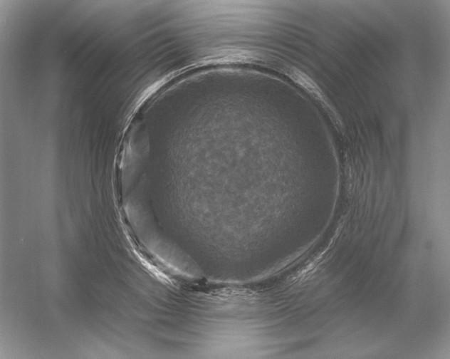 X0000053130842200507251747