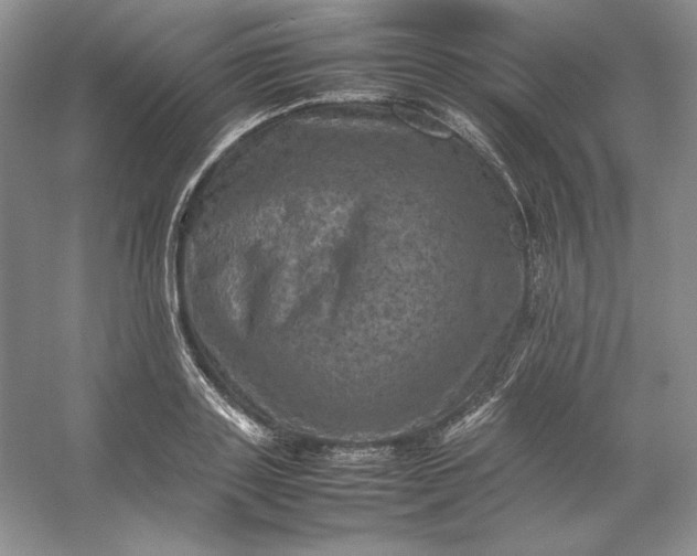 X0000053130843200507251747