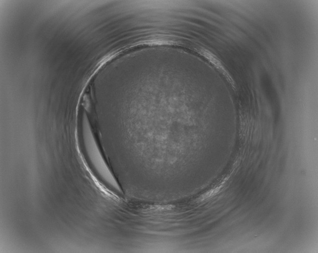 X0000053130845200507251747