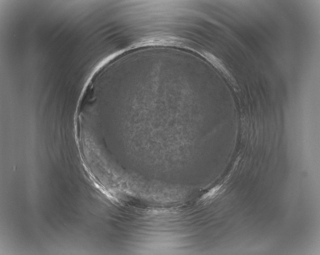 X0000053130846200507251747