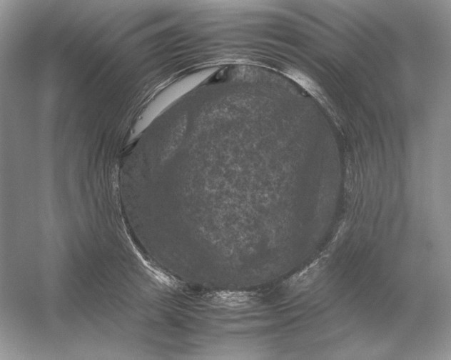 X0000053130849200507251747