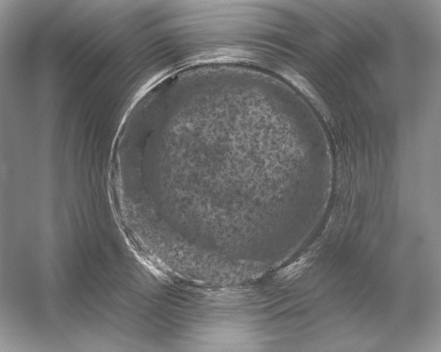 X0000053130850200507251747