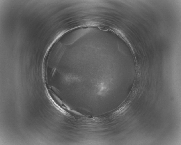 X0000053130851200507251747