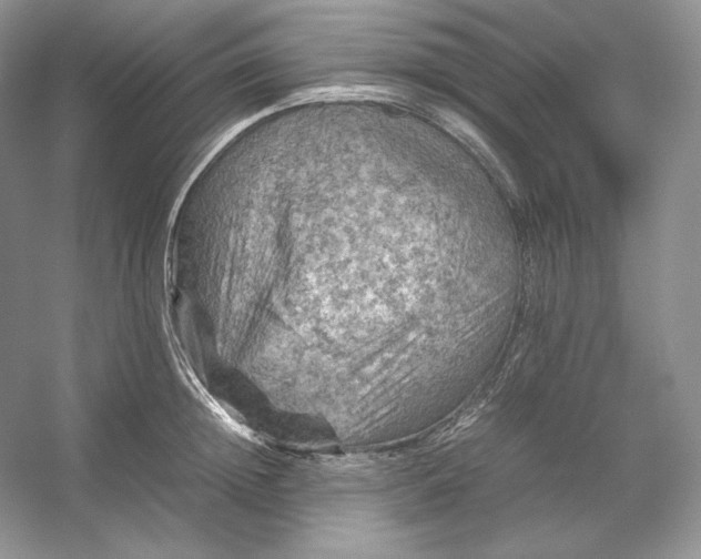 X0000053130852200507251747