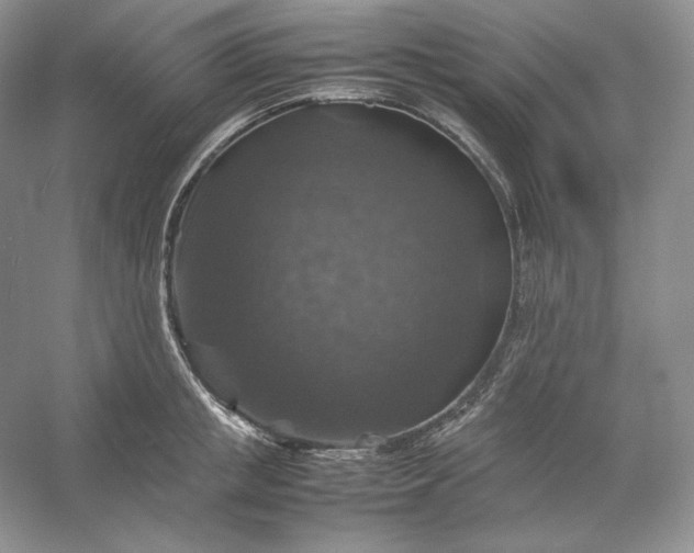 X0000053130853200507251747