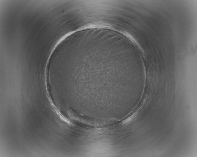 X0000053130854200507251747