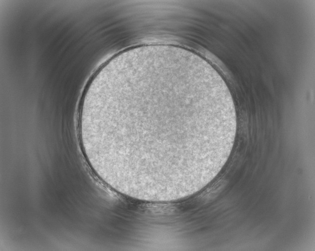 X0000053130856200507251747