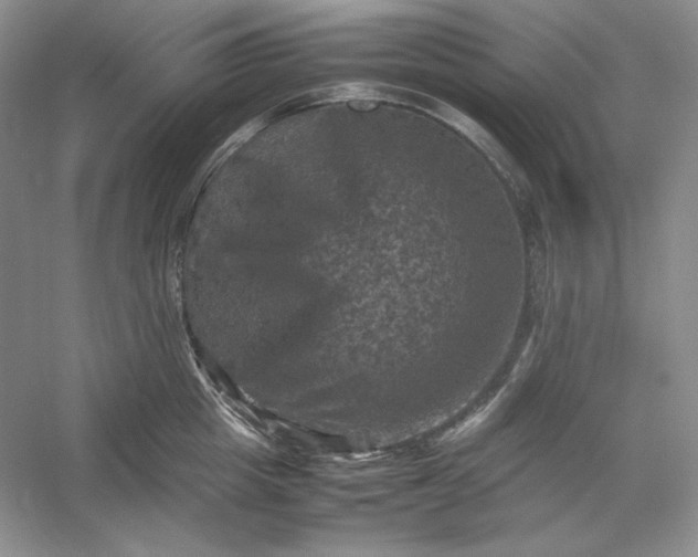 X0000053130857200507251747