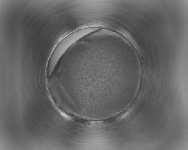 X0000053130858200507251747