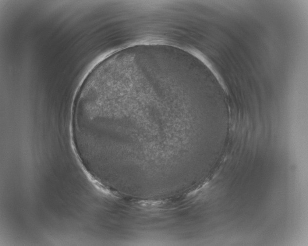 X0000053130861200507251747