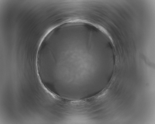 X0000053130863200507251747