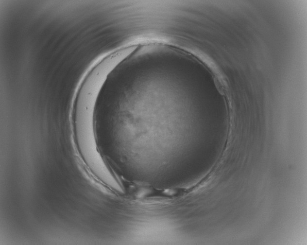 X0000053130864200507251747