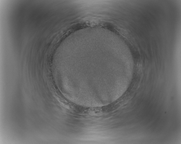 X0000053130865200507251747