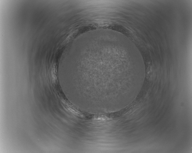 X0000053130866200507251747