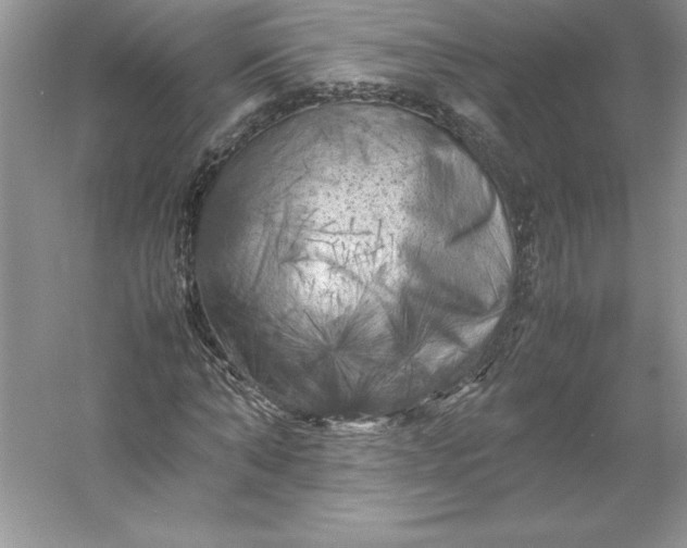 X0000053130870200507251747
