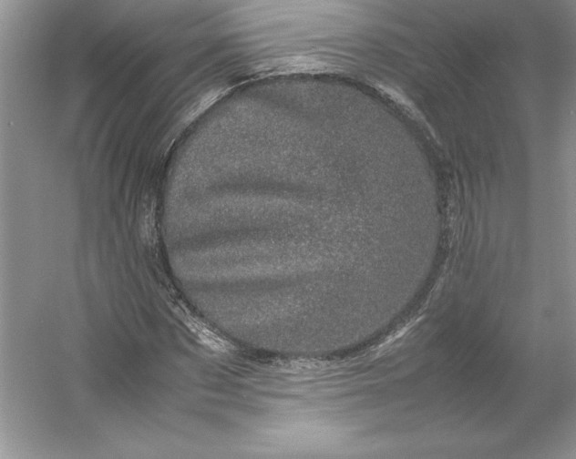 X0000053130873200507251747