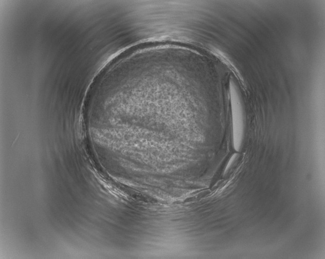 X0000053130876200507251746