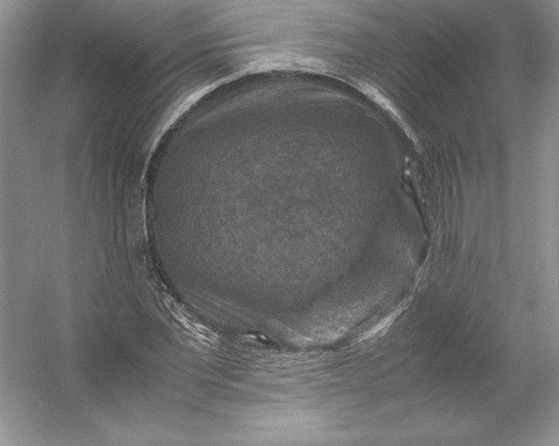 X0000053130877200507251746