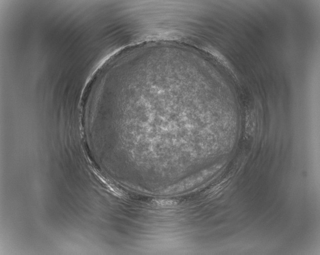 X0000053130878200507251746