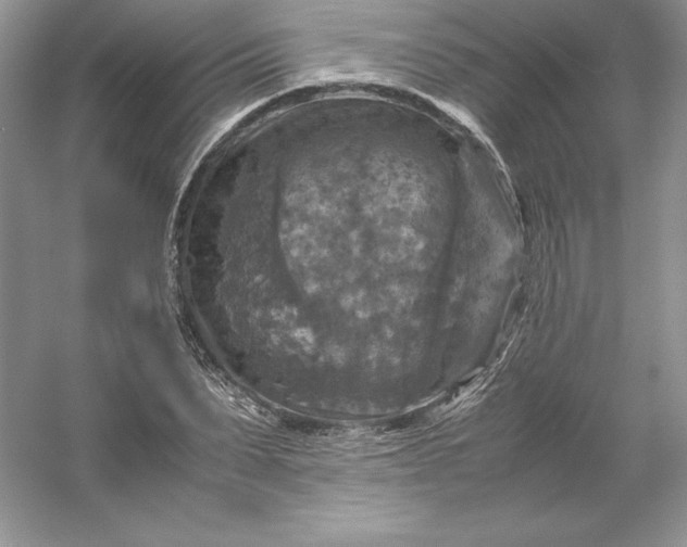 X0000053130879200507251746