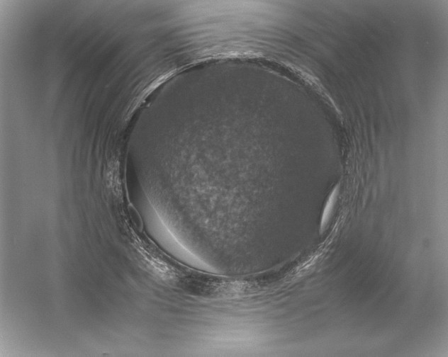 X0000053130881200507251746