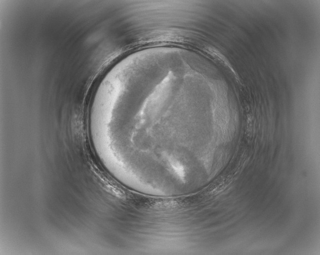 X0000053130882200507251746