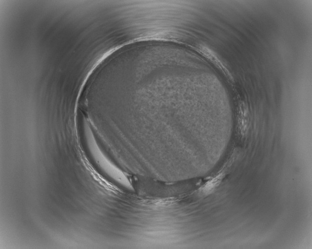 X0000053130884200507251746
