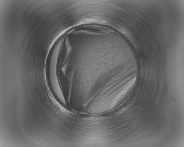 X0000053130888200507251746