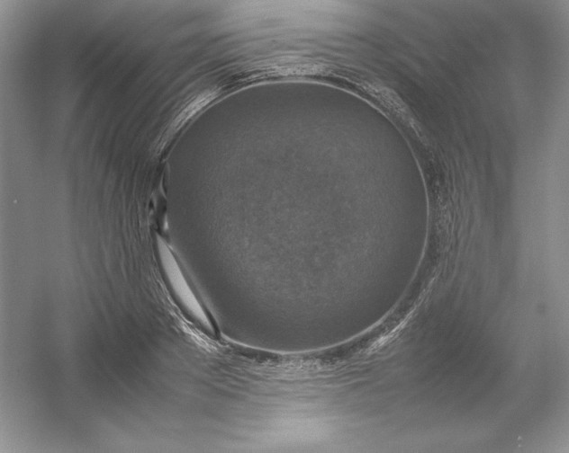 X0000053130889200507251746