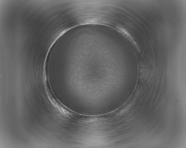 X0000053130892200507251746