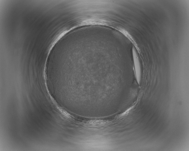 X0000053130893200507251746